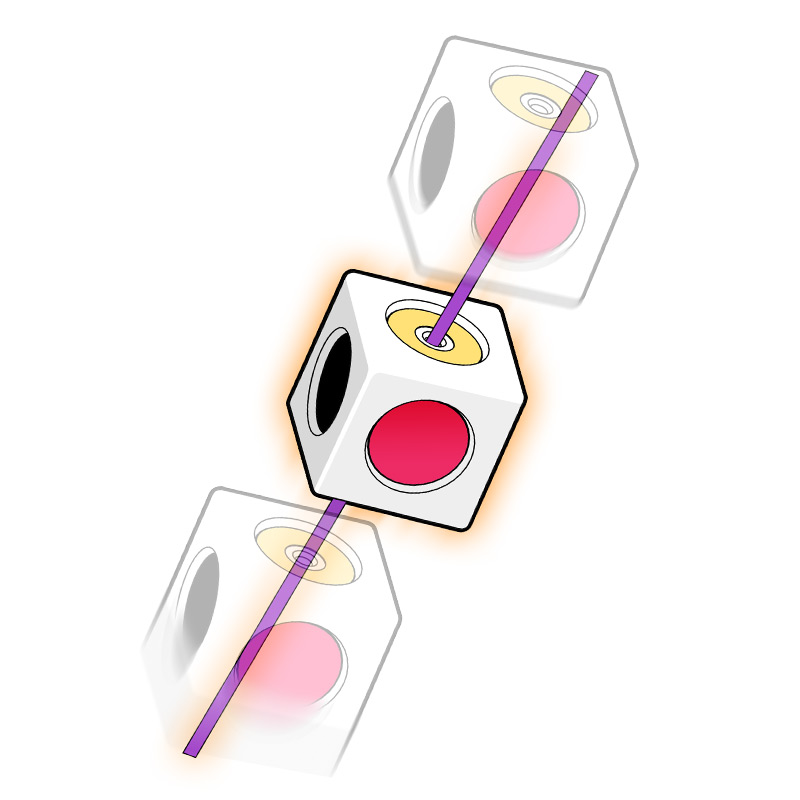 Cubo obediente, juguetes de se - Electronics And Gadgets Ce reseña y precio